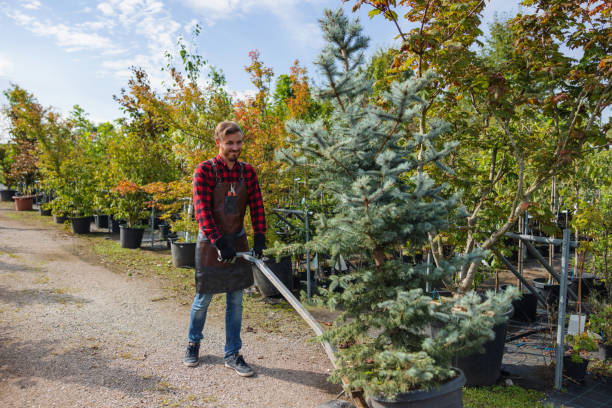 Best Lawn Watering Services  in Girard, KS